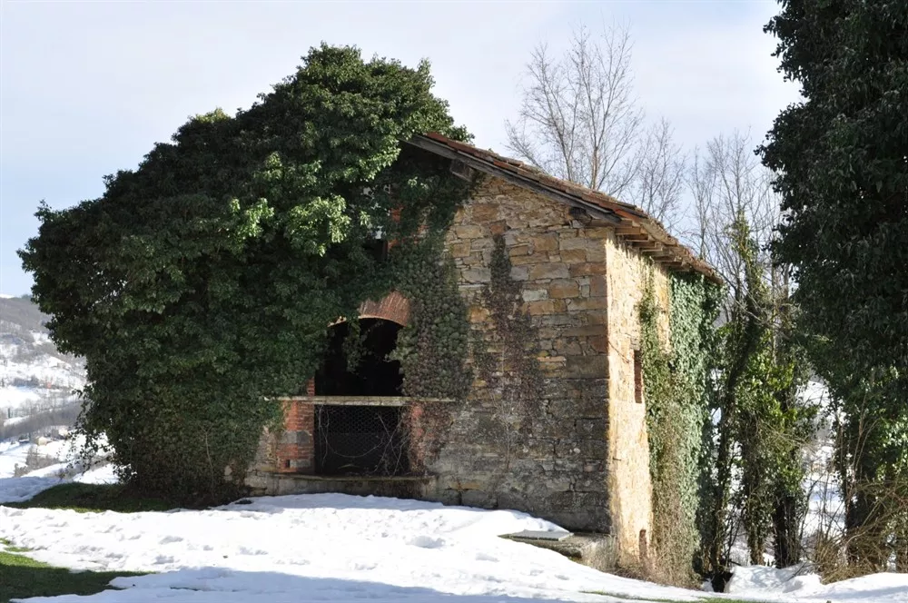 Cinghianello