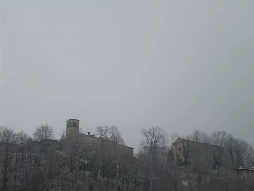Brandola