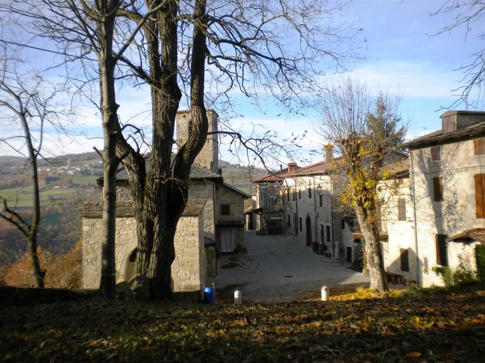 Brandola