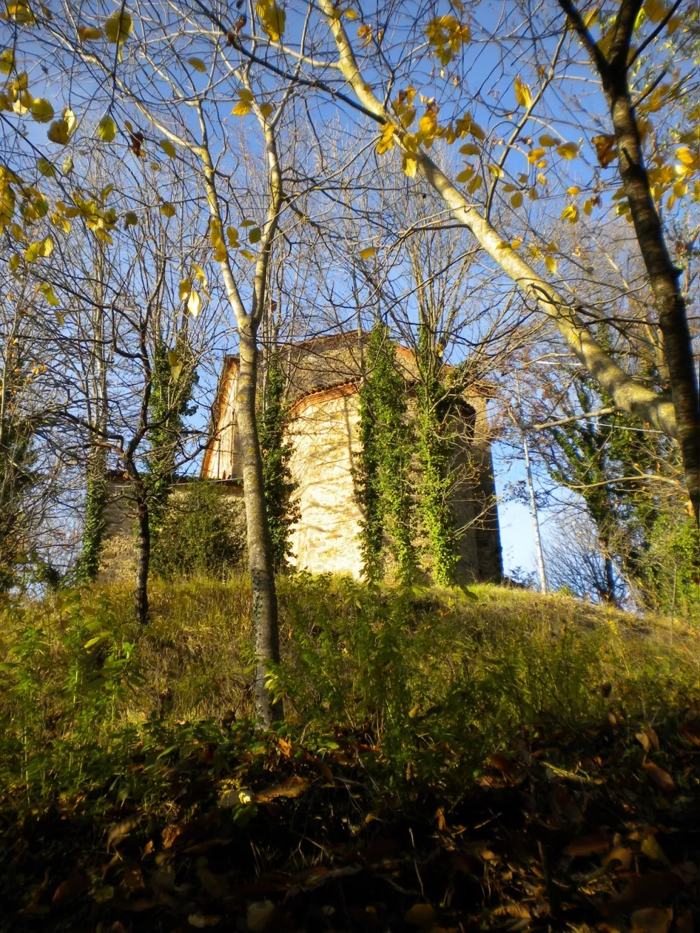 Brandola