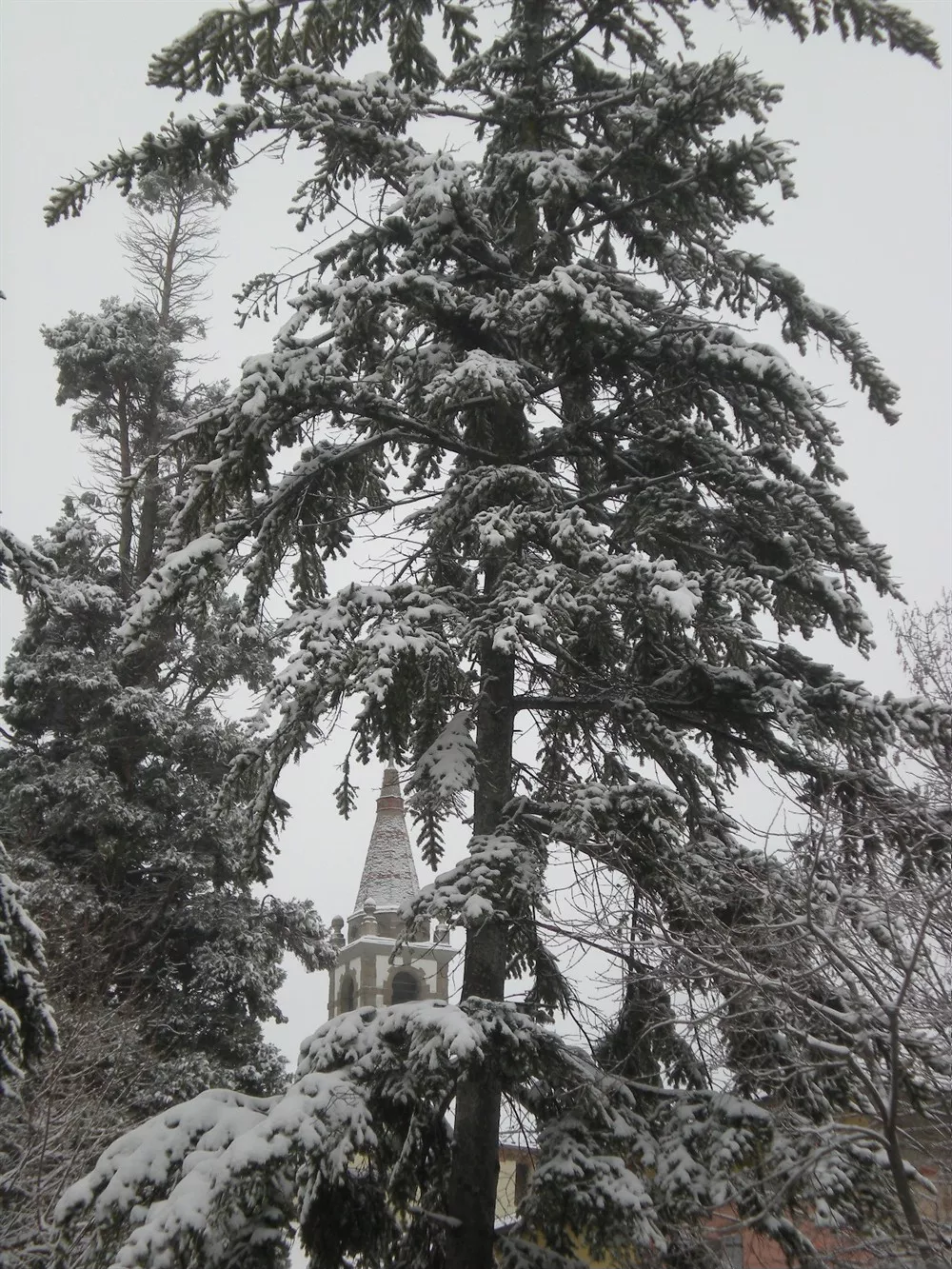 Chiesa Parrocchiale dell'Assunta