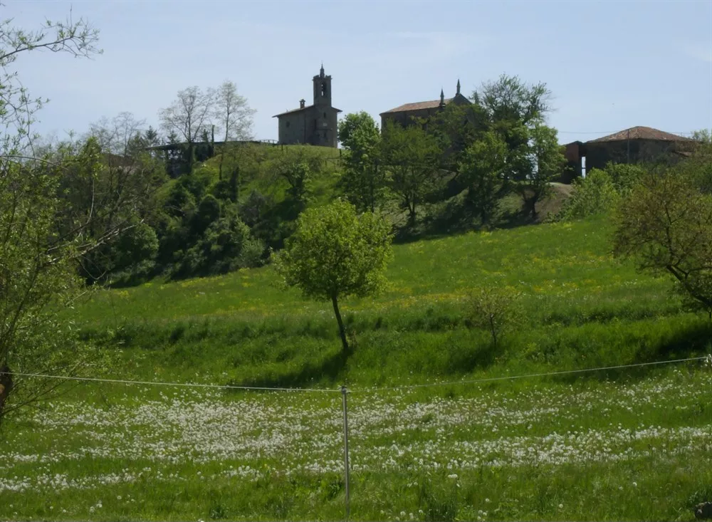 Cinghianello