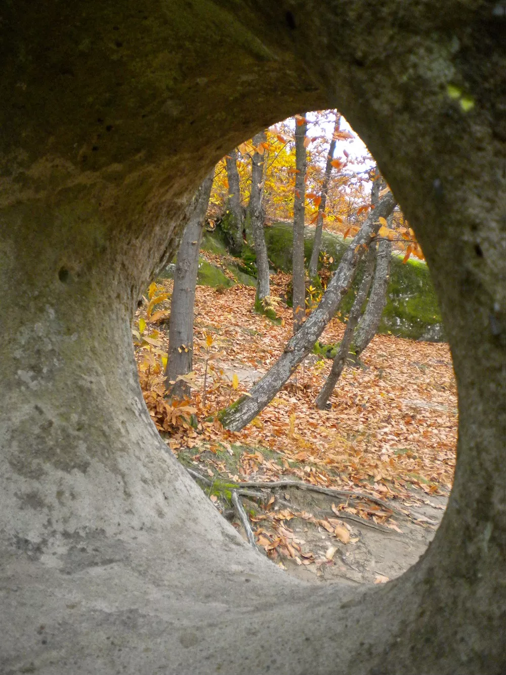 Ponte del Diavolo (Ponte Ercole)