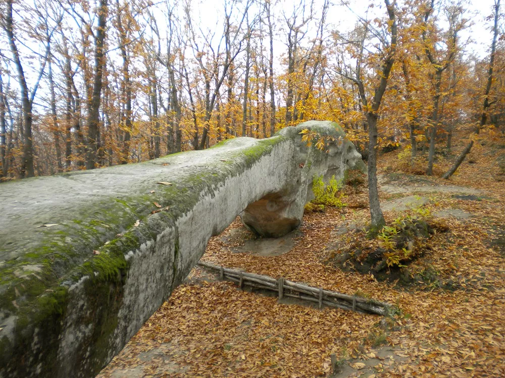 Ponte del Diavolo (Ponte Ercole)