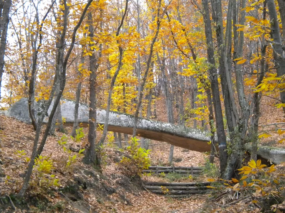 Ponte del Diavolo (Ponte Ercole)