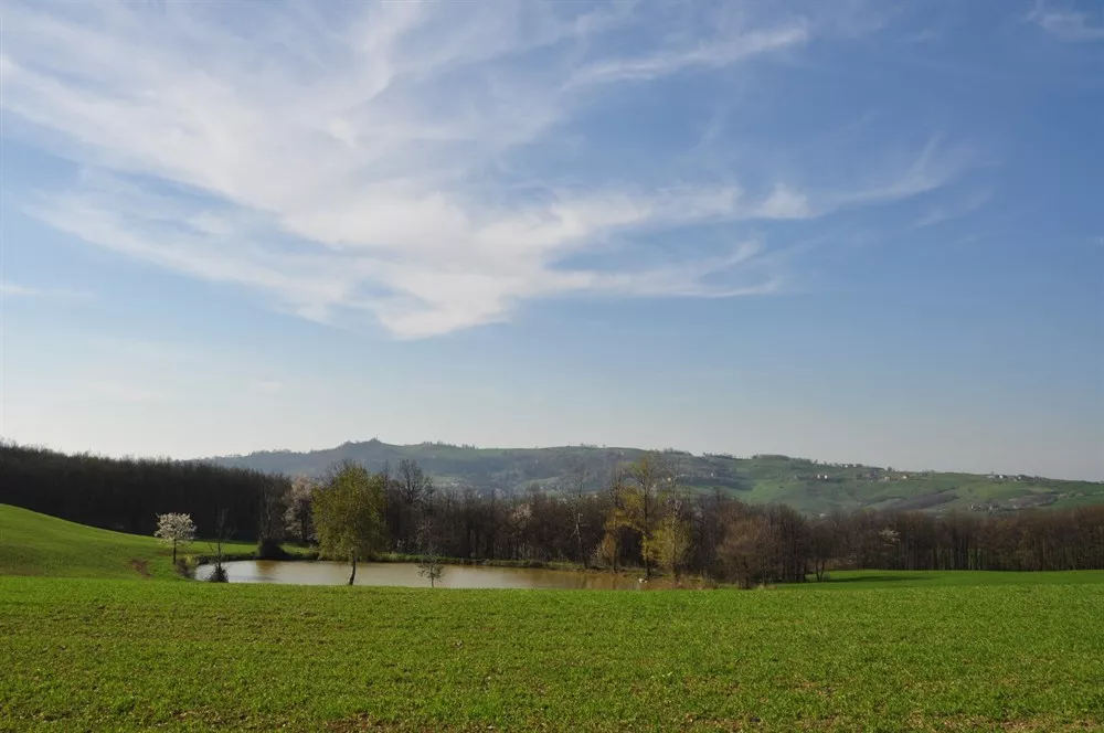 Piccolo borgo a nord di Polinago al confine con il Comune di Prignano sulla Secchia.