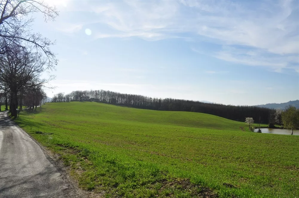 Piccolo borgo a nord di Polinago al confine con il Comune di Prignano sulla Secchia.