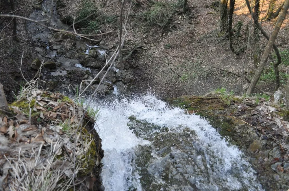 Brandola