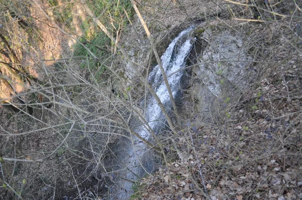 Brandola
