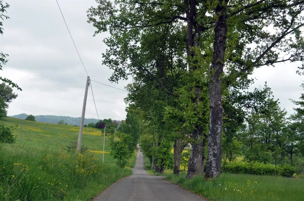 Piccolo borgo a nord di Polinago al confine con il Comune di Prignano sulla Secchia.