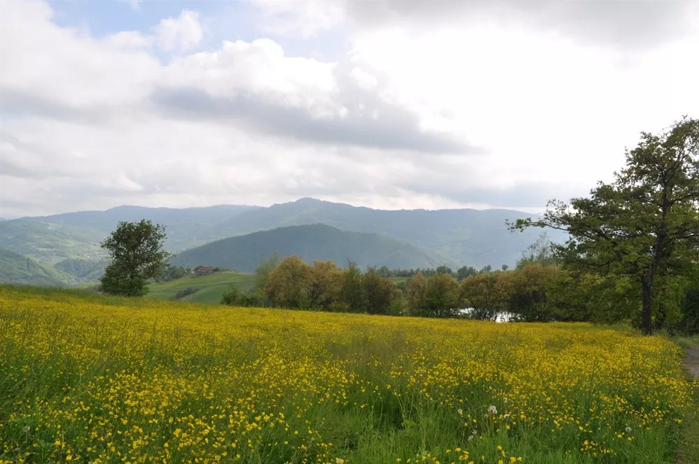 Piccolo borgo a nord di Polinago al confine con il Comune di Prignano sulla Secchia.