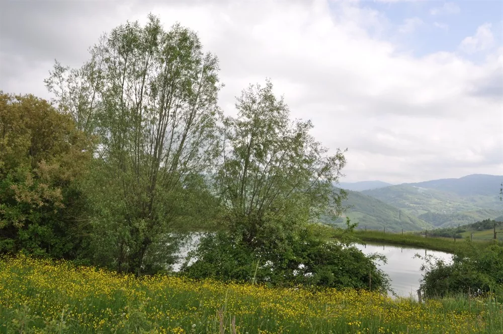 Piccolo borgo a nord di Polinago al confine con il Comune di Prignano sulla Secchia.