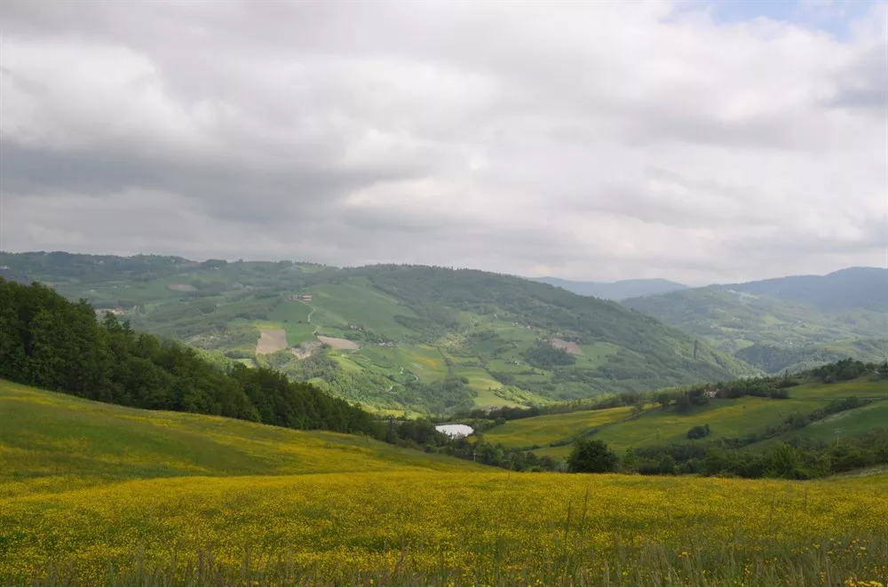 Piccolo borgo a nord di Polinago al confine con il Comune di Prignano sulla Secchia.