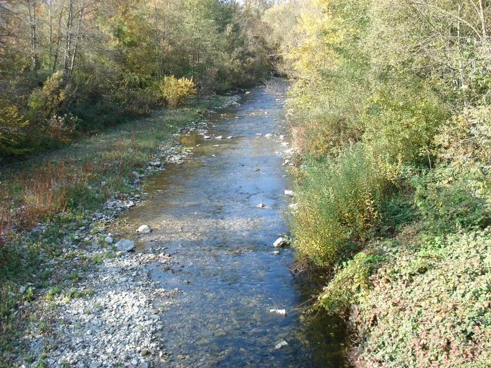 Natura