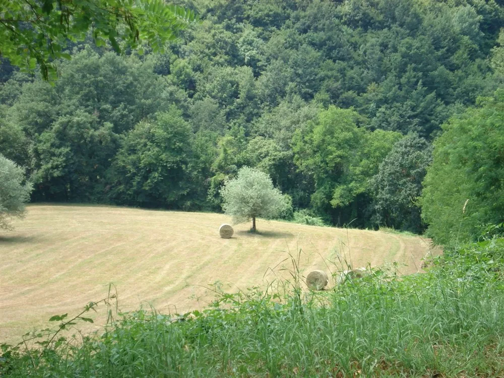 Natura