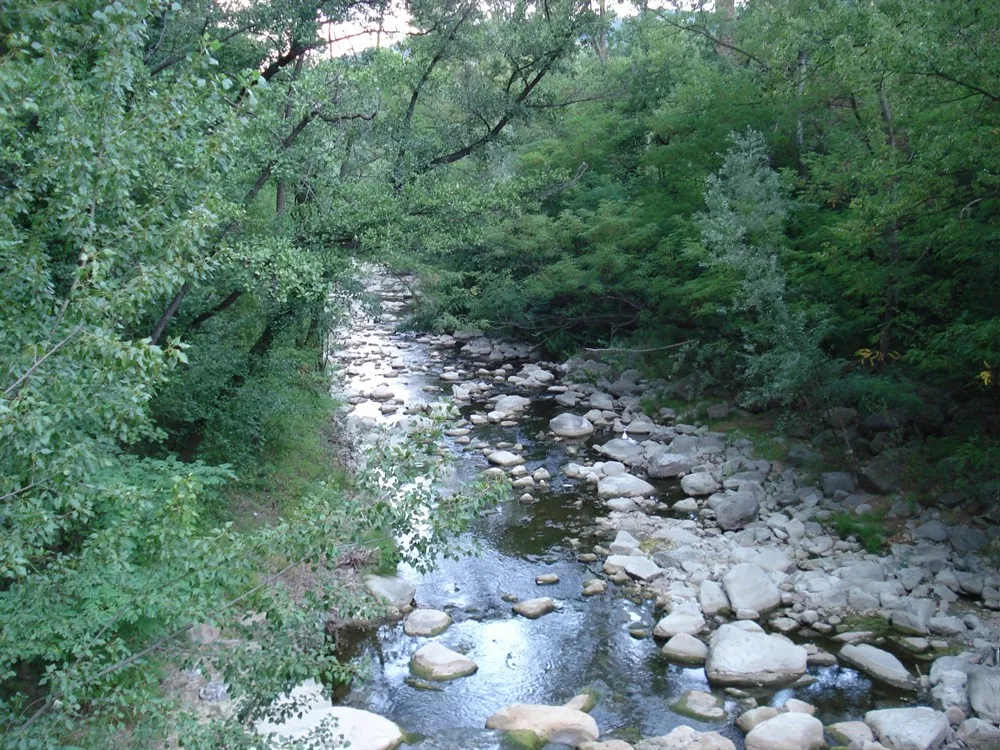 Natura