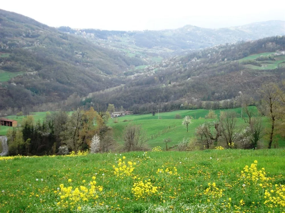 Natura