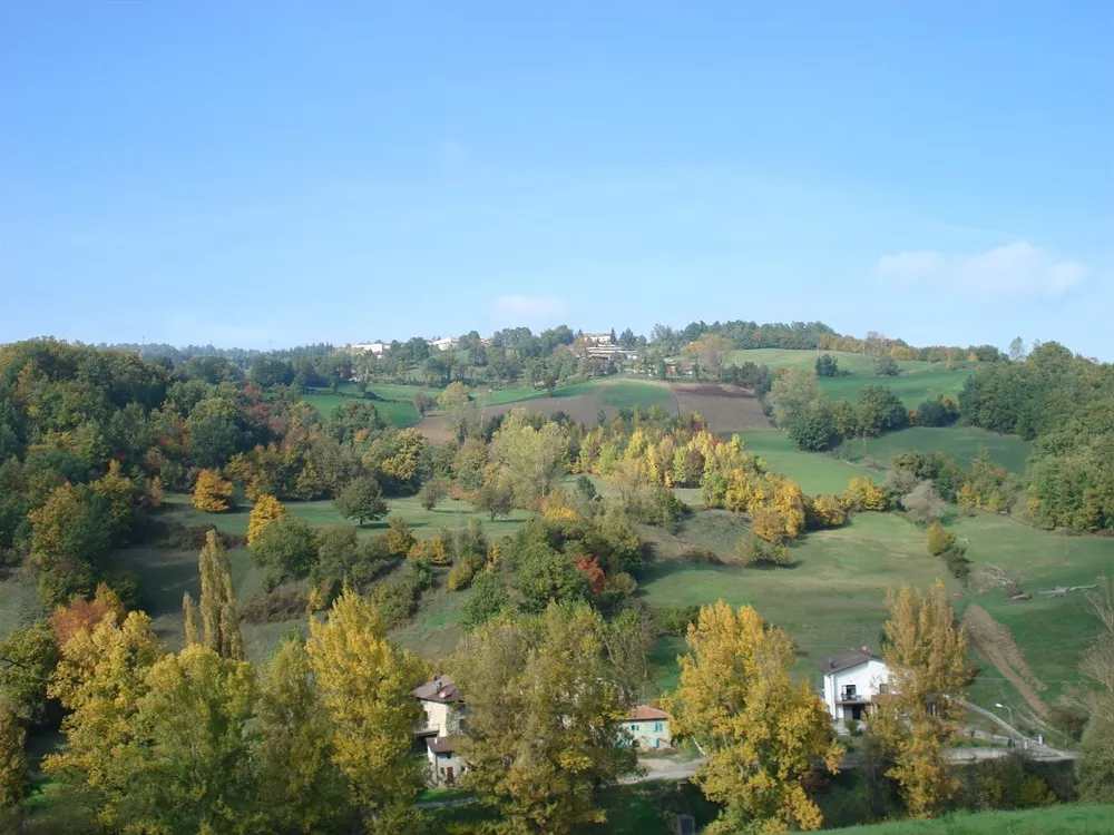Brandola